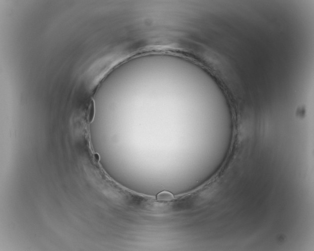 X0000113091361200909182103