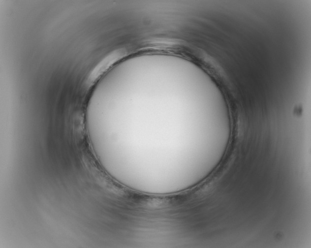 X0000113091362200909182103