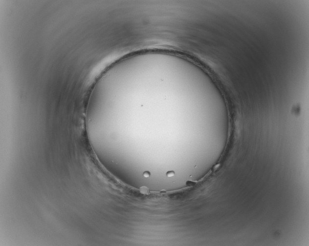 X0000113091363200909182103