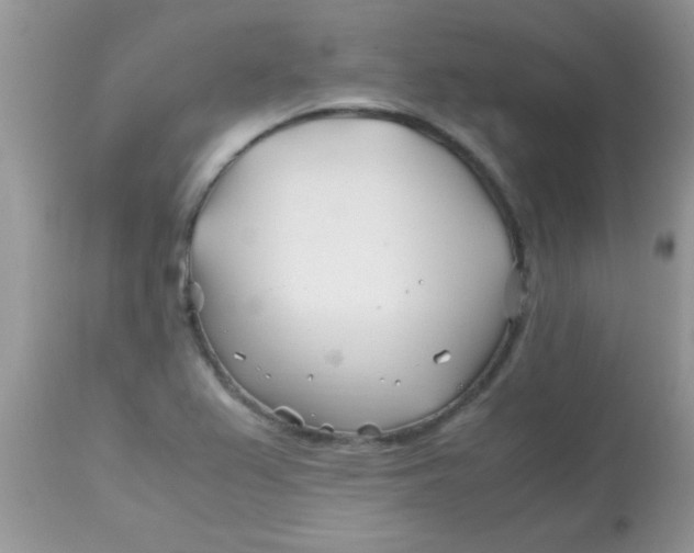 X0000113091367200909182103