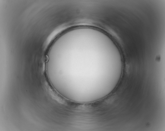X0000113091368200909182103