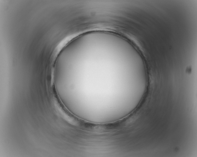 X0000113091371200909182103