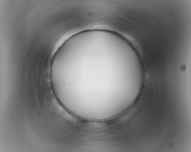 X0000113091374200909182103