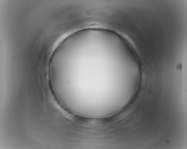 X0000113091375200909182103