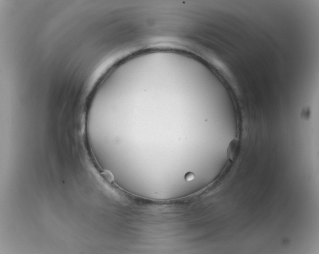 X0000113091376200909182103