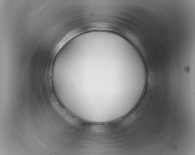 X0000113091378200909182103