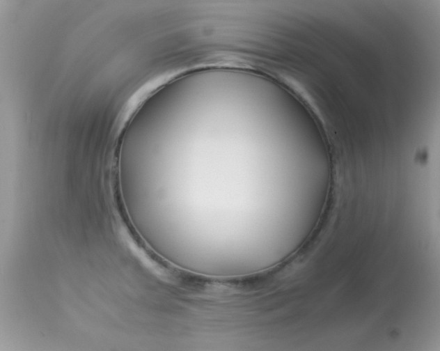 X0000113091379200909182103