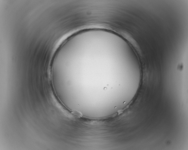 X0000113091380200909182103
