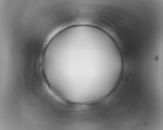 X0000113091382200909182103