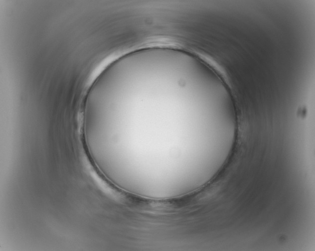 X0000113091383200909182103