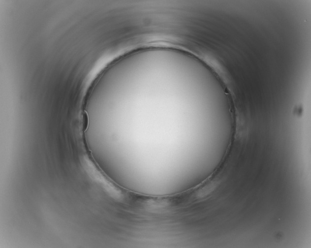 X0000113091384200909182103