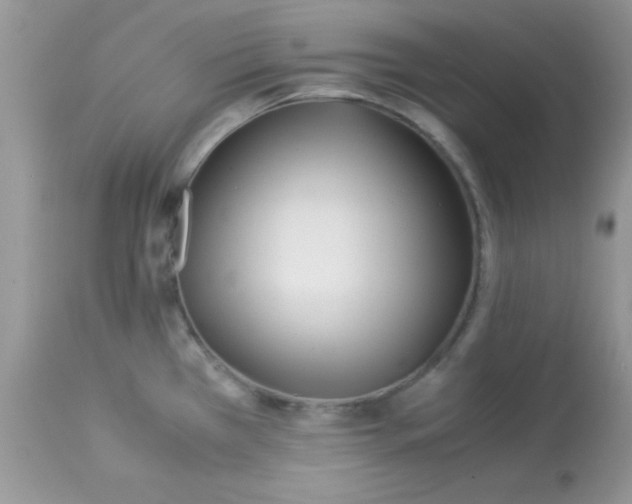 X0000113091385200909182103