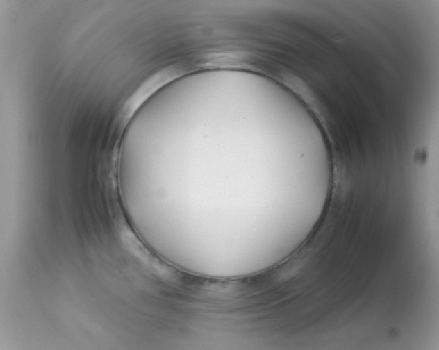 X0000113091386200909182103