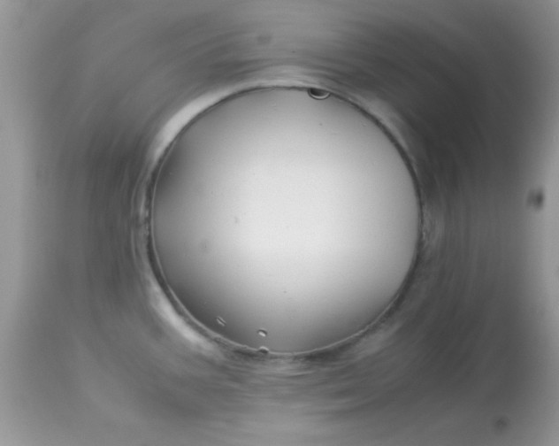 X0000113091387200909182103