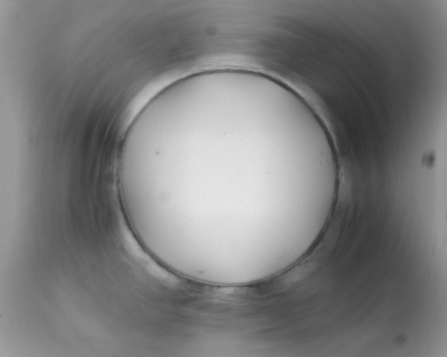 X0000113091390200909182103