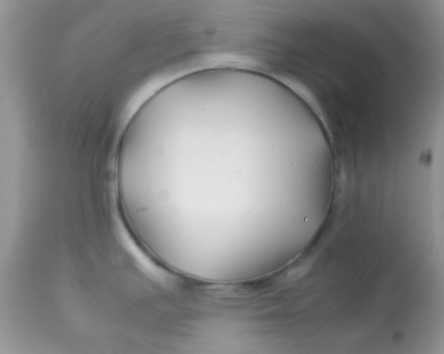 X0000113091391200909182103