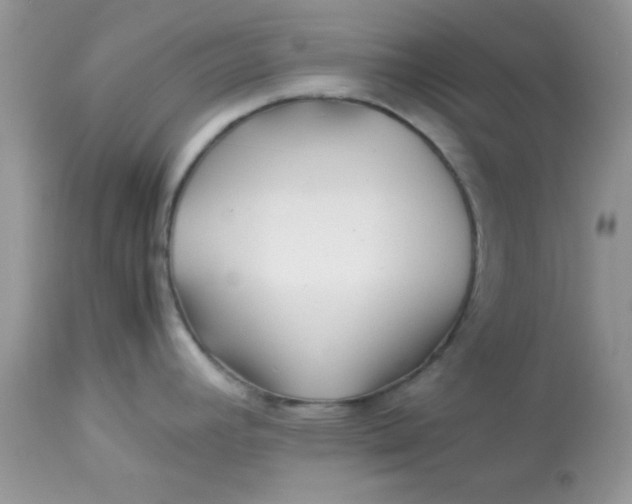 X0000113091392200909182103