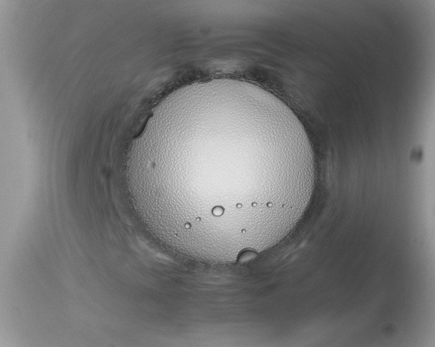 X0000113091393200909182102