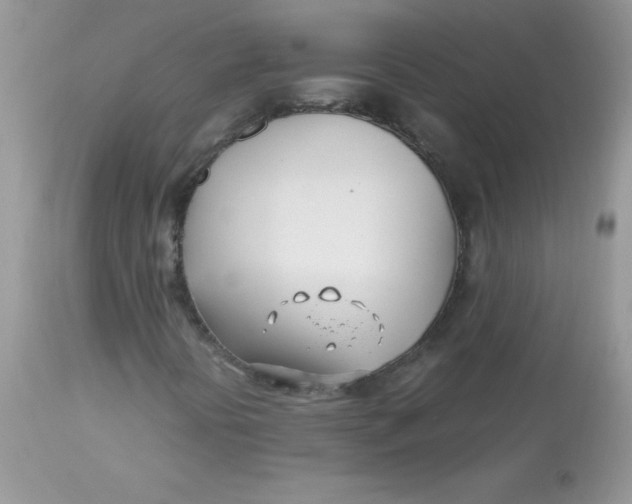 X0000113091394200909182102