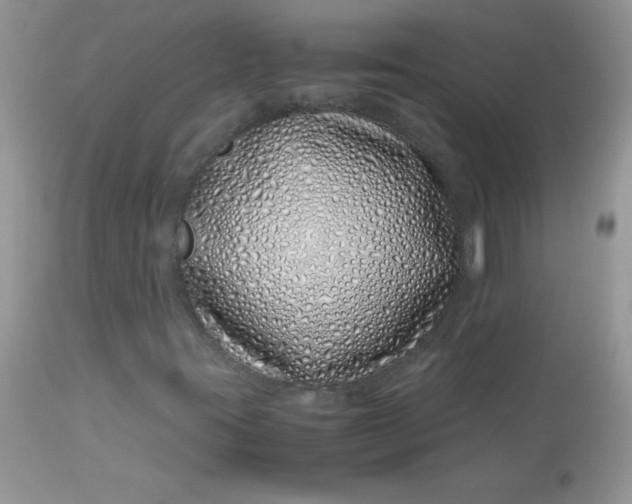 X0000113091395200909182102