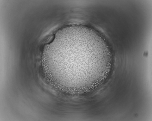 X0000113091399200909182102