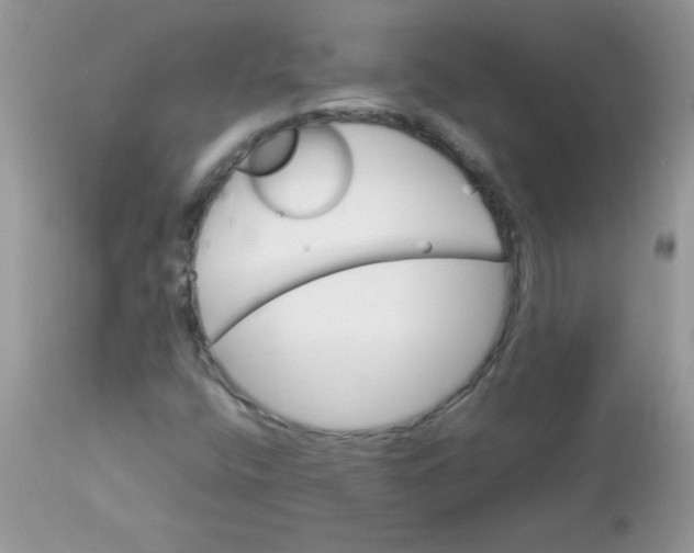 X0000113091400200909182102