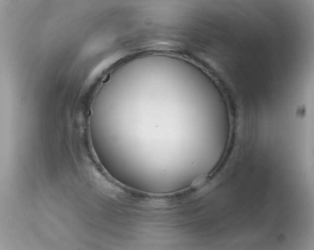 X0000113091402200909182102