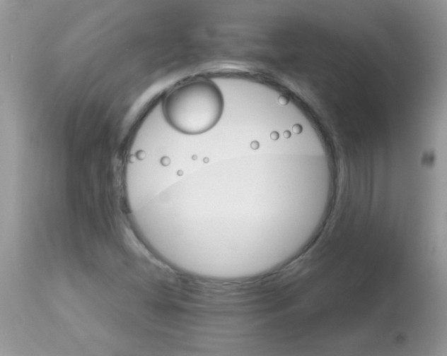 X0000113091404200909182102