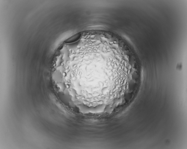 X0000113091405200909182102