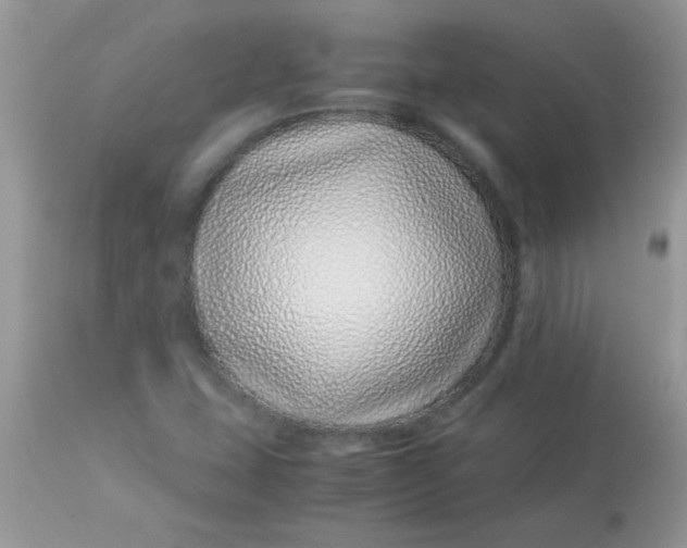 X0000113091407200909182102