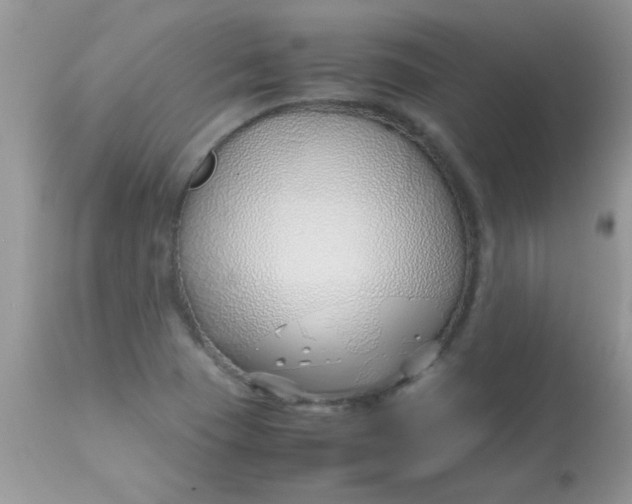 X0000113091409200909182102
