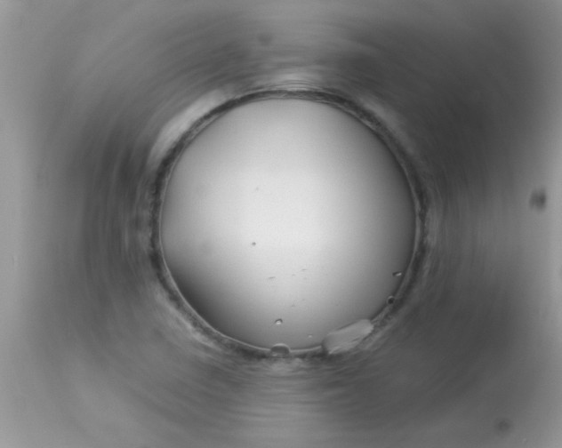 X0000113091410200909182102