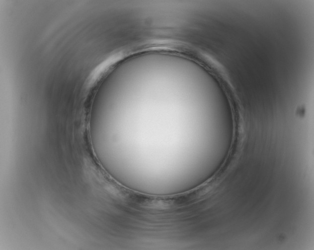 X0000113091411200909182102