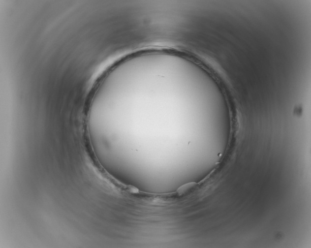 X0000113091412200909182102