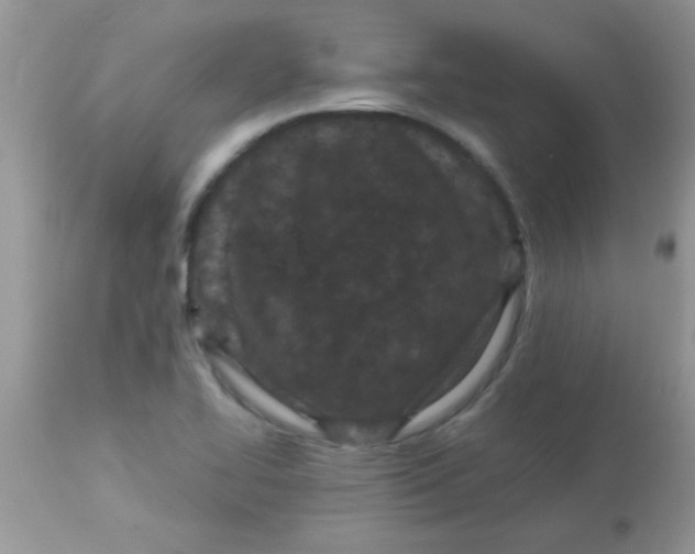 X0000113091414200909182102