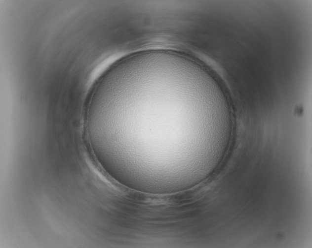X0000113091415200909182102