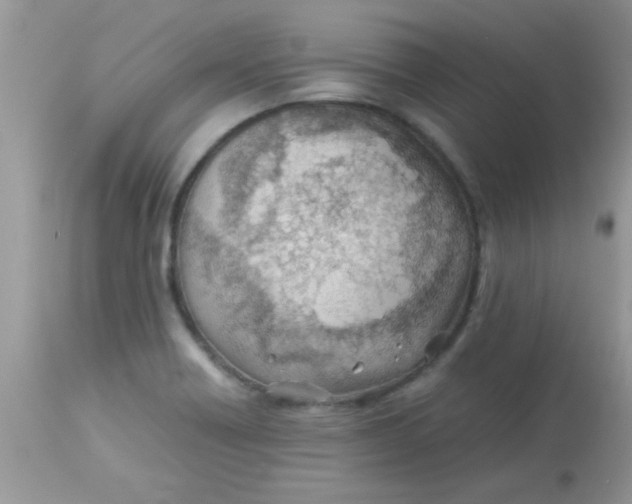 X0000113091418200909182102