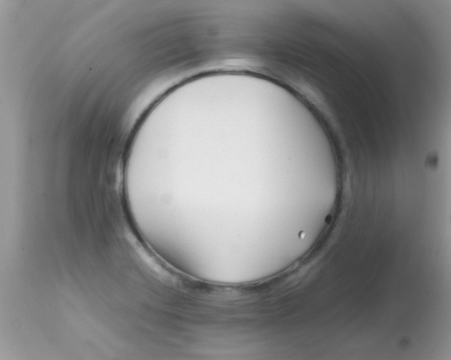 X0000113091420200909182102