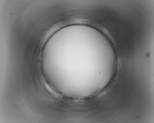 X0000113091421200909182102