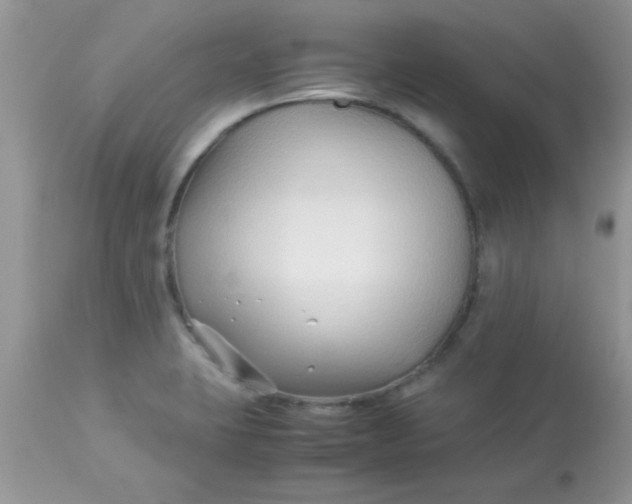 X0000113091423200909182103