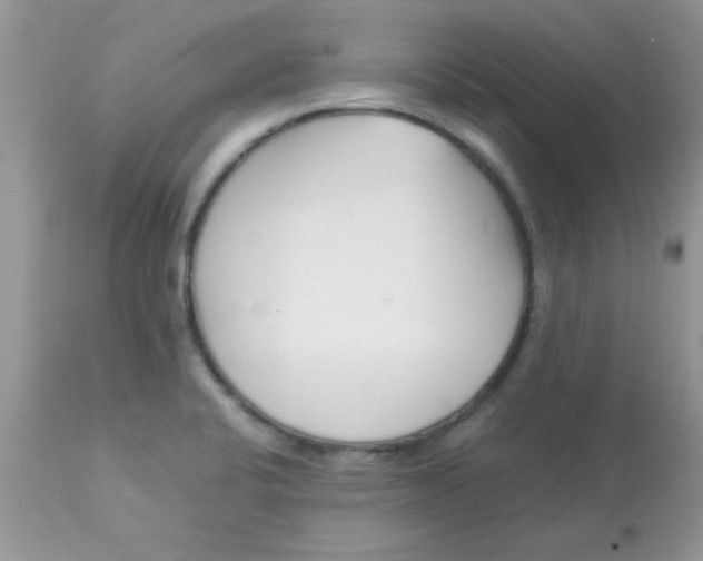 X0000113091424200909182103