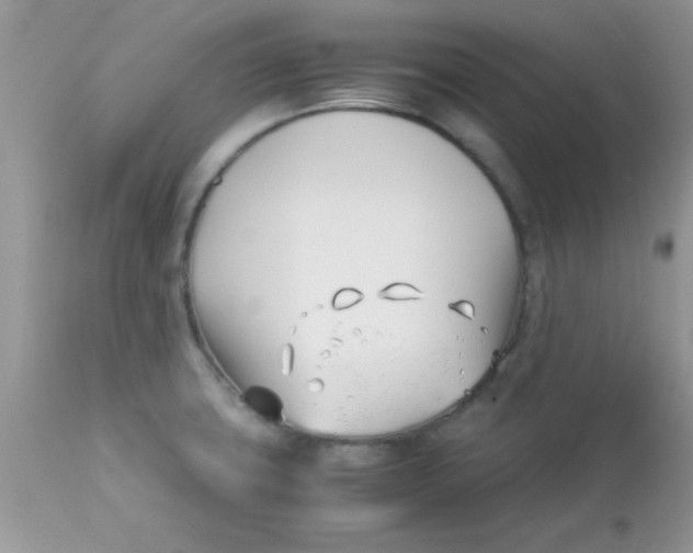 X0000113091427200909182103