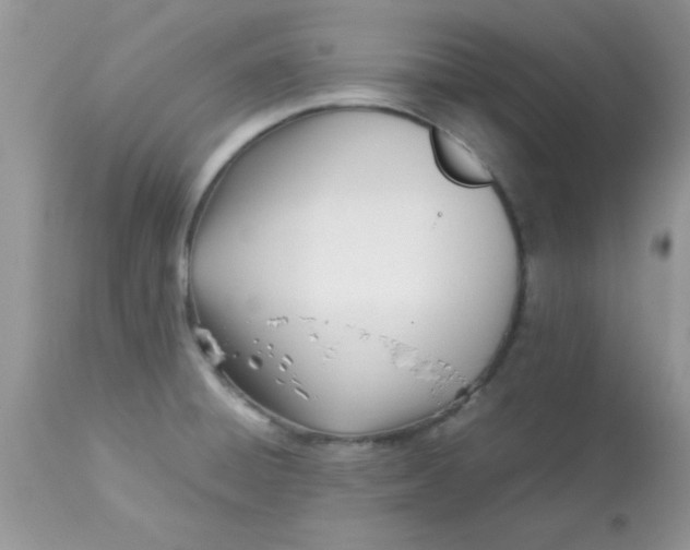 X0000113091428200909182103