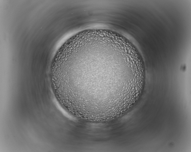 X0000113091429200909182103