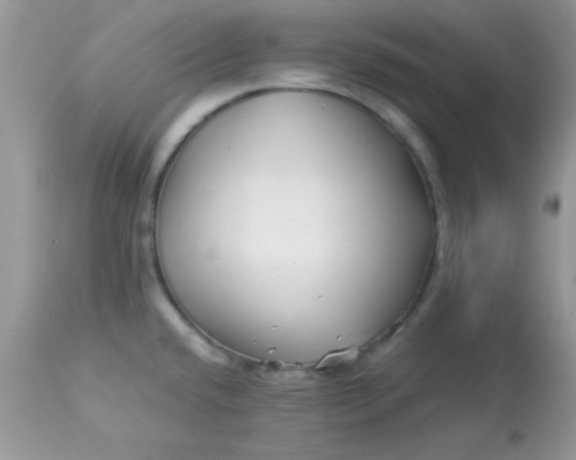X0000113091432200909182103