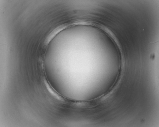 X0000113091433200909182103