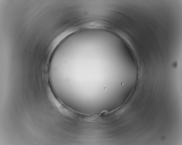 X0000113091434200909182103