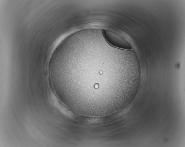 X0000113091435200909182103