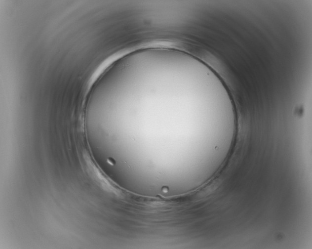 X0000113091436200909182103