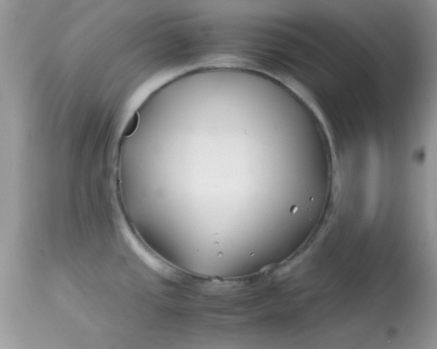 X0000113091437200909182103